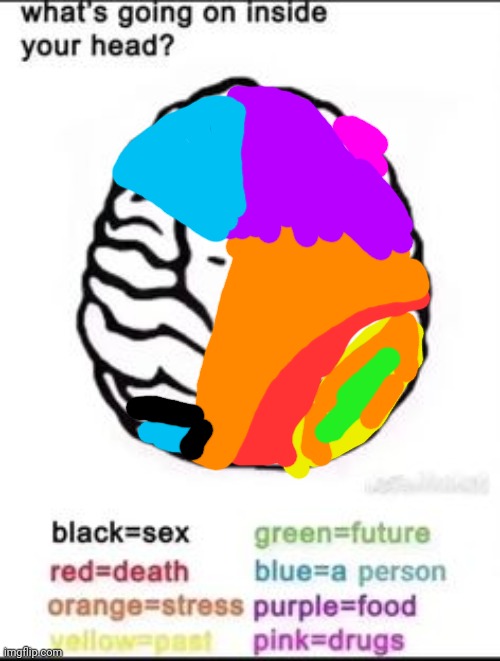 What's going on inside your head? | image tagged in what's going on inside your head | made w/ Imgflip meme maker