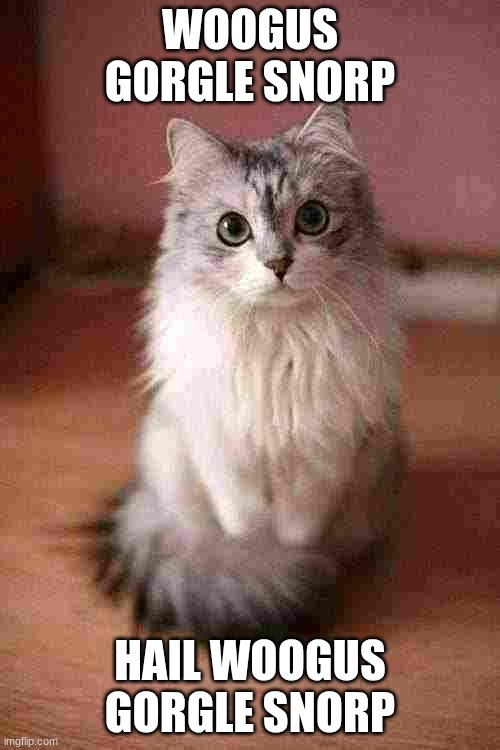 Cute cat memes | WOOGUS GORGLE SNORP; HAIL WOOGUS GORGLE SNORP | image tagged in cute cat memes | made w/ Imgflip meme maker