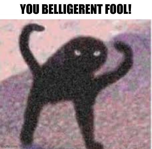Inner Angery | YOU BELLIGERENT FOOL! | image tagged in inner angery | made w/ Imgflip meme maker