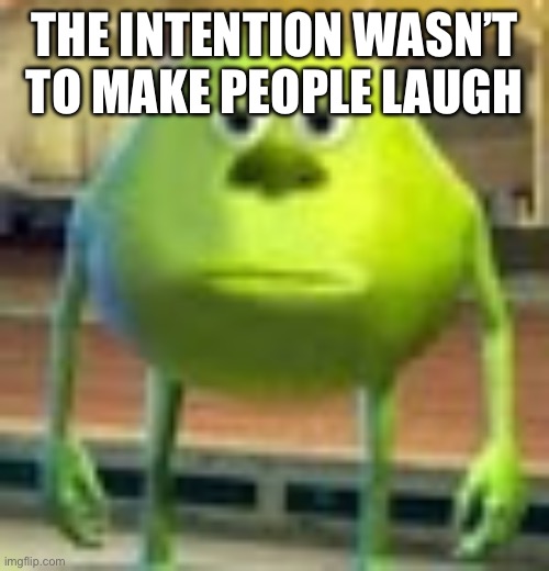 Sully Wazowski | THE INTENTION WASN’T TO MAKE PEOPLE LAUGH | image tagged in sully wazowski | made w/ Imgflip meme maker