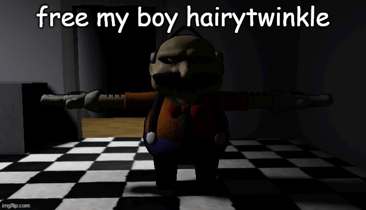 Homeowner T pose | free my boy hairytwinkle | image tagged in homeowner t pose | made w/ Imgflip meme maker