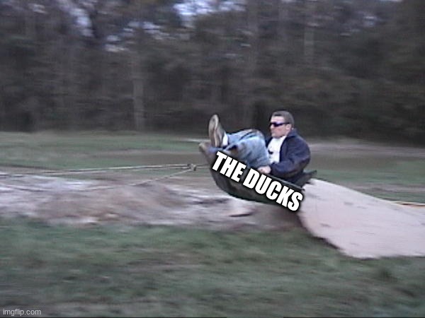 Weeeeee! | THE DUCKS | image tagged in weeeeee | made w/ Imgflip meme maker