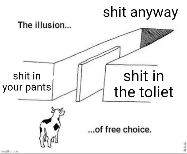 Illusion of free choice | shit anyway; shit in your pants; shit in the toliet | image tagged in illusion of free choice | made w/ Imgflip meme maker