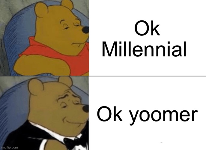 Gen Y | Ok Millennial; Ok yoomer | image tagged in memes,tuxedo winnie the pooh,90s kids | made w/ Imgflip meme maker