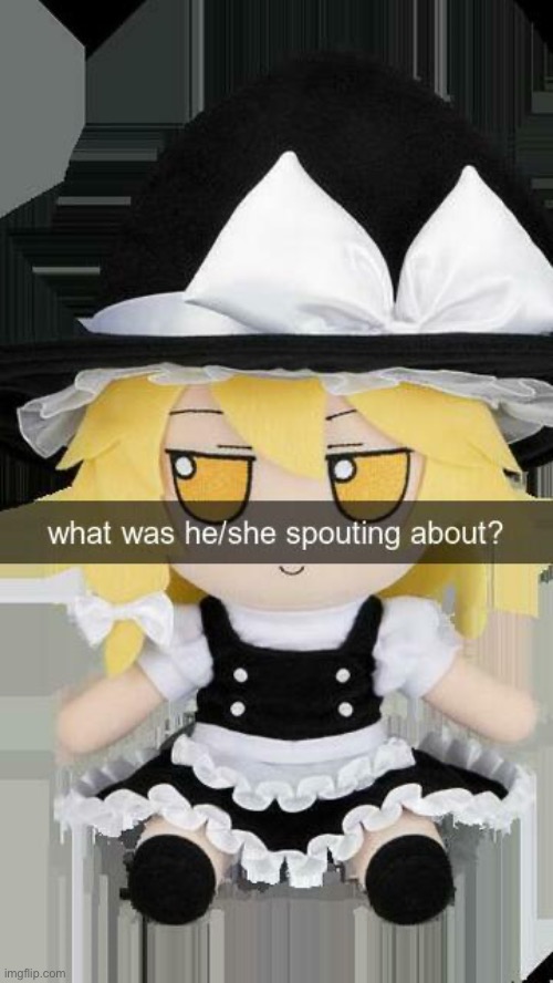what was he/she spounting about | image tagged in what was he/she spounting about | made w/ Imgflip meme maker