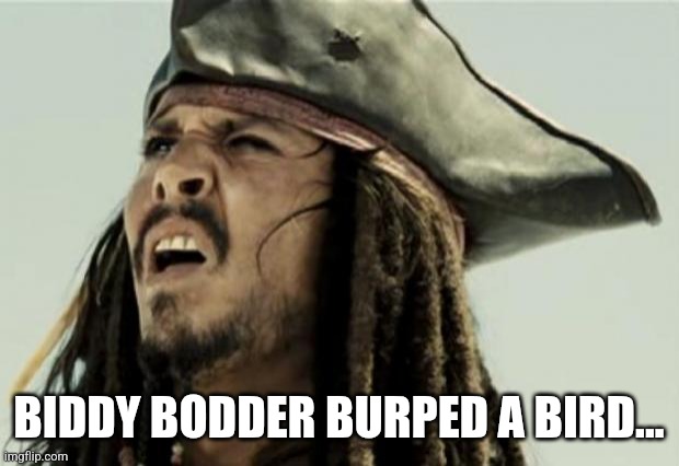 Confused Jack Biddy Bodder Burped a Bird | BIDDY BODDER BURPED A BIRD... | image tagged in confused dafuq jack sparrow what,burp,bird | made w/ Imgflip meme maker