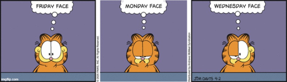 Garfield | image tagged in comics | made w/ Imgflip meme maker