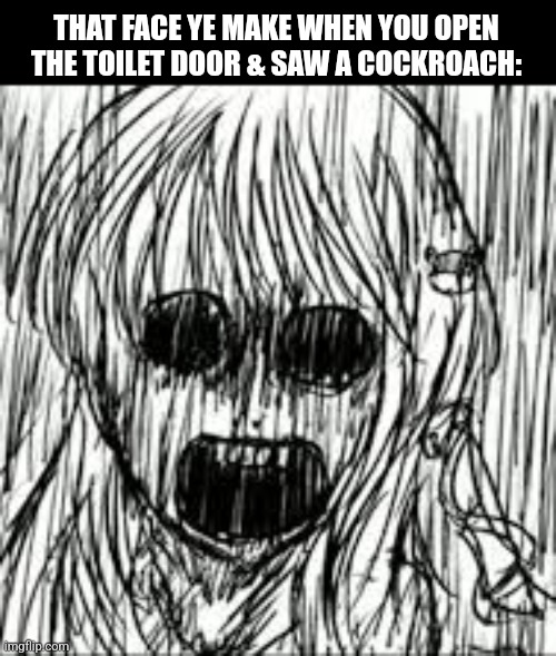 THAT FACE YE MAKE WHEN YOU OPEN THE TOILET DOOR & SAW A COCKROACH: | image tagged in memes,dirty,roach | made w/ Imgflip meme maker