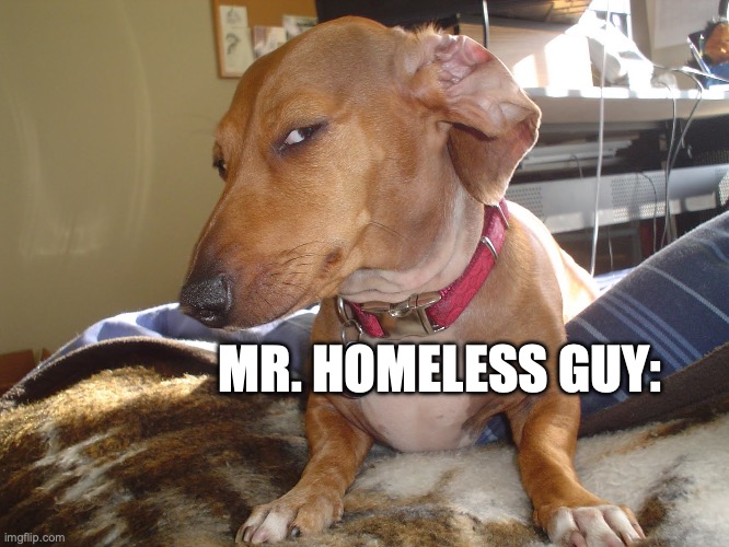 Suspicious Dog | MR. HOMELESS GUY: | image tagged in suspicious dog | made w/ Imgflip meme maker