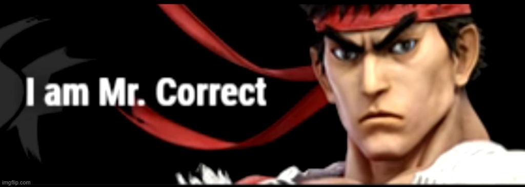 I am mr. Correct | image tagged in i am mr correct | made w/ Imgflip meme maker