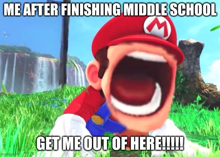 Me in middle school | ME AFTER FINISHING MIDDLE SCHOOL; GET ME OUT OF HERE!!!!! | image tagged in mario screaming | made w/ Imgflip meme maker