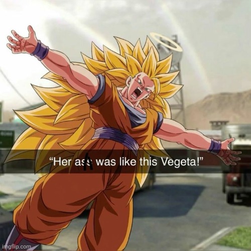 Her ass was like this Vegeta | image tagged in her ass was like this vegeta | made w/ Imgflip meme maker