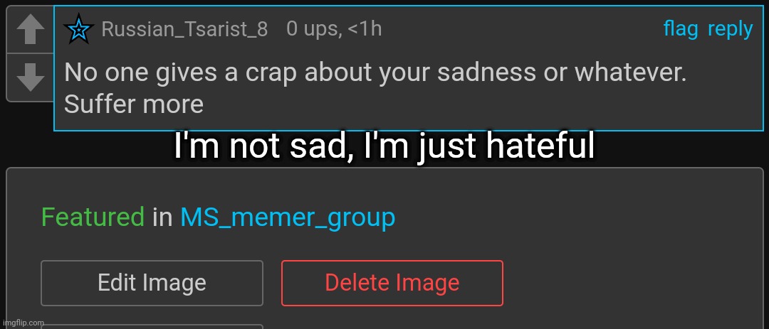 I hate for the love of the game | I'm not sad, I'm just hateful | made w/ Imgflip meme maker