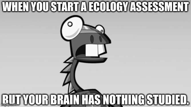 Just don't study too much whatever you do. | WHEN YOU START A ECOLOGY ASSESSMENT; BUT YOUR BRAIN HAS NOTHING STUDIED. | image tagged in derp lunk mixels | made w/ Imgflip meme maker