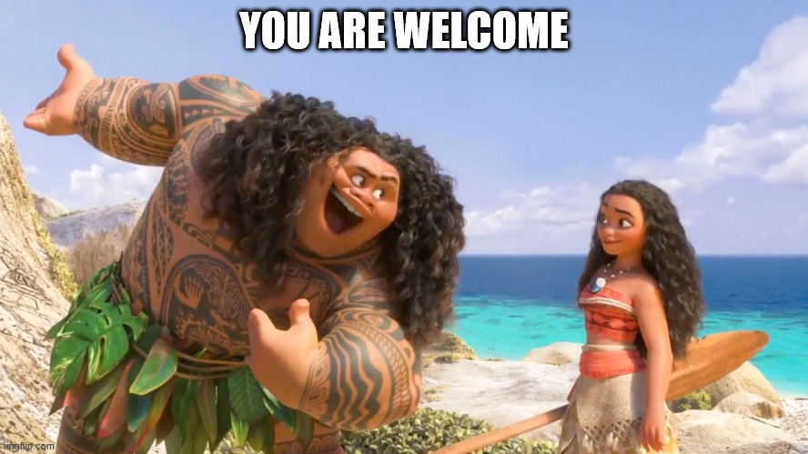 Maui, you are welcome | YOU ARE WELCOME | image tagged in maui you are welcome | made w/ Imgflip meme maker