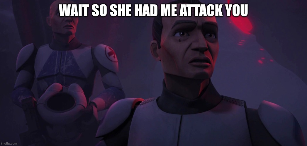 clone troopers | WAIT SO SHE HAD ME ATTACK YOU | image tagged in clone troopers | made w/ Imgflip meme maker