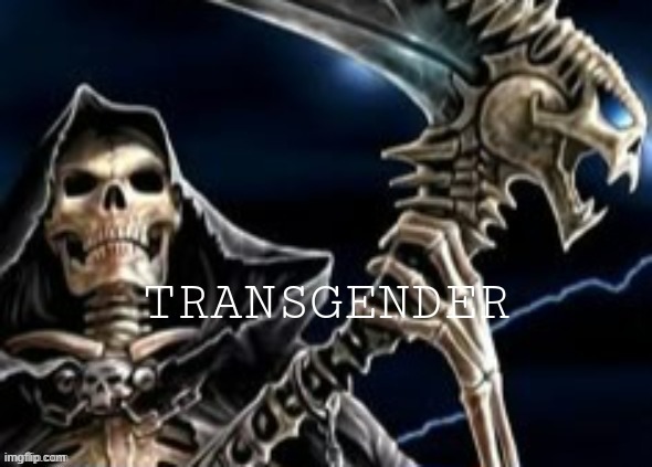 do you like my new trans flag | image tagged in trans flag | made w/ Imgflip meme maker
