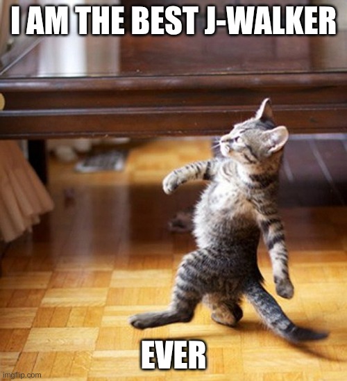 J-walker | I AM THE BEST J-WALKER; EVER | image tagged in cat walking like a boss | made w/ Imgflip meme maker