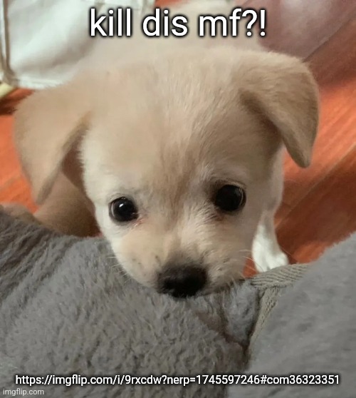 hi | kill dis mf?! https://imgflip.com/i/9rxcdw?nerp=1745597246#com36323351 | image tagged in hi | made w/ Imgflip meme maker