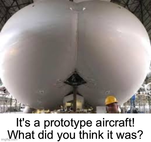 It's a prototype aircraft! What did you think it was? | image tagged in msmg,prototype | made w/ Imgflip meme maker