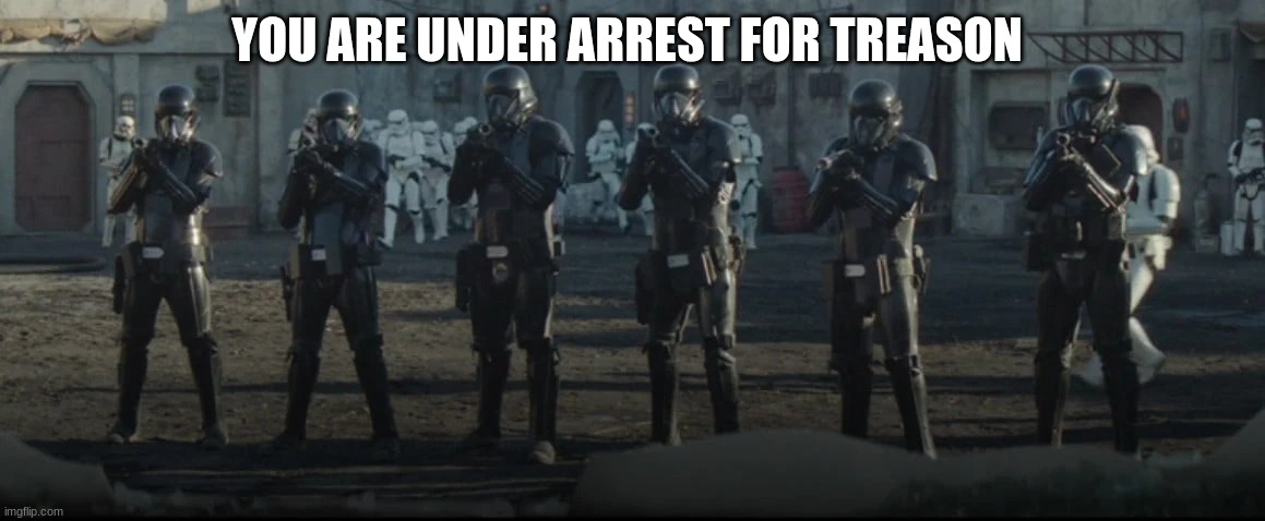 death troopers | YOU ARE UNDER ARREST FOR TREASON | image tagged in death troopers | made w/ Imgflip meme maker