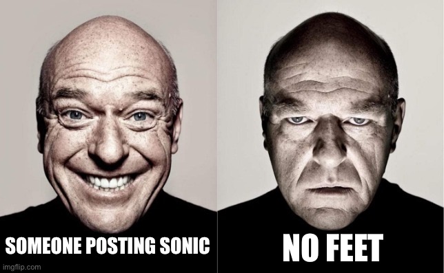 Hank | SOMEONE POSTING SONIC NO FEET | image tagged in hank | made w/ Imgflip meme maker