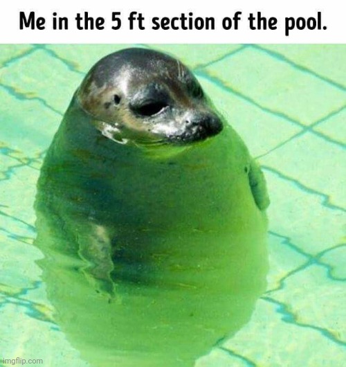 M | made w/ Imgflip meme maker