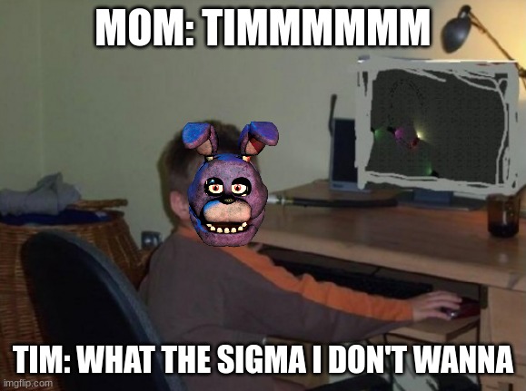 mom not now | MOM: TIMMMMMM; TIM: WHAT THE SIGMA I DON'T WANNA | image tagged in mom not now | made w/ Imgflip meme maker