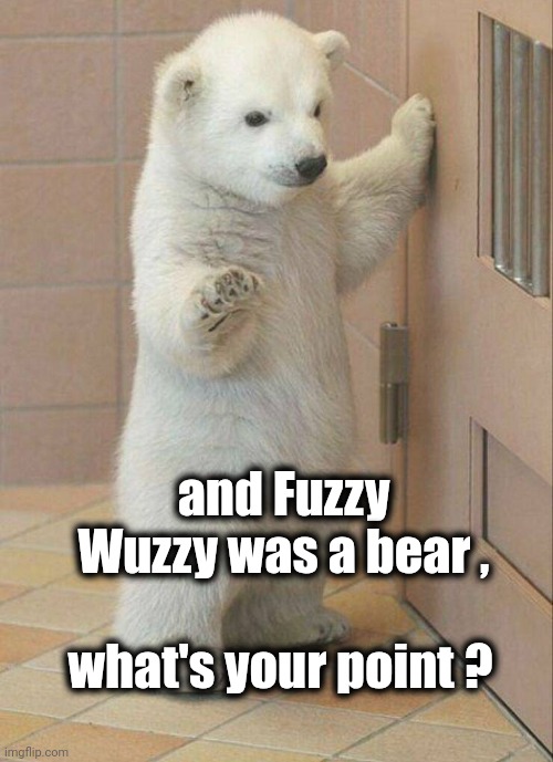 Not now Bear | and Fuzzy Wuzzy was a bear , what's your point ? | image tagged in not now bear | made w/ Imgflip meme maker