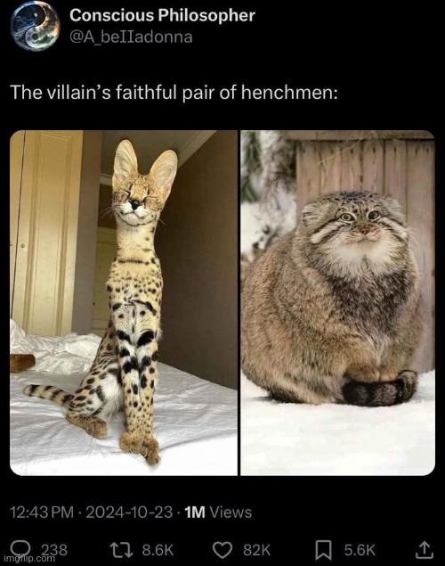 Awww | made w/ Imgflip meme maker