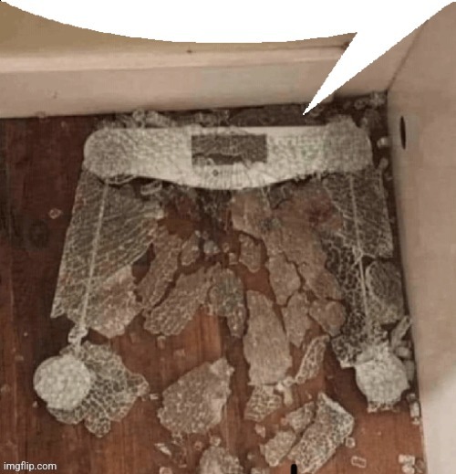 Broken scale speech bubble | image tagged in broken scale speech bubble | made w/ Imgflip meme maker