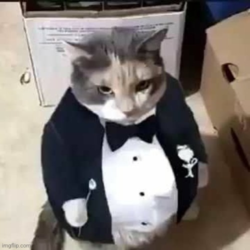 Fatass cat in a tuxedo | image tagged in fatass cat in a tuxedo | made w/ Imgflip meme maker