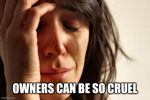 First World Problems Meme | OWNERS CAN BE SO CRUEL | image tagged in memes,first world problems | made w/ Imgflip meme maker