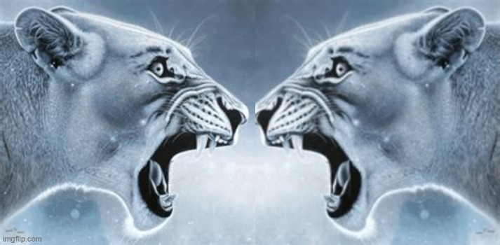 High Quality two jaguars Blank Meme Template