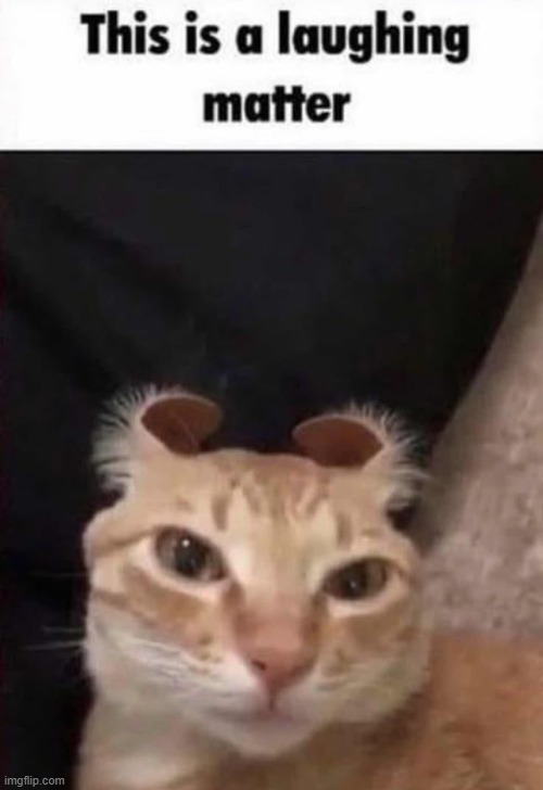 This is a laughing matter | image tagged in this is a laughing matter | made w/ Imgflip meme maker