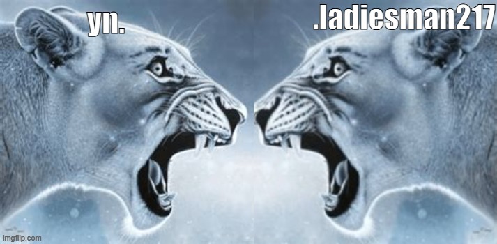 .... | .ladiesman217; yn. | image tagged in two jaguars | made w/ Imgflip meme maker