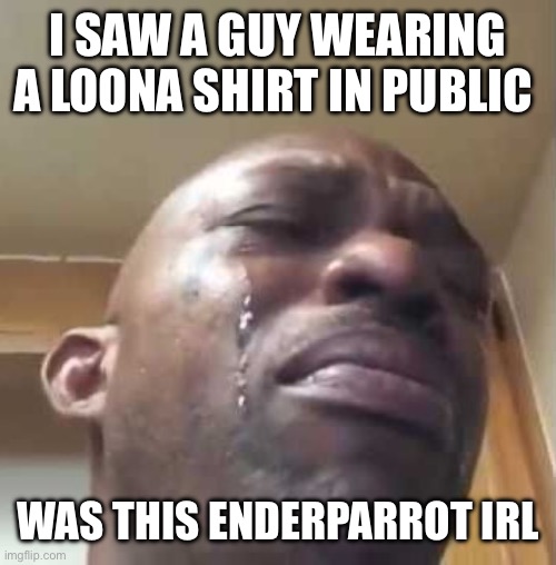 black guy crying 2 | I SAW A GUY WEARING A LOONA SHIRT IN PUBLIC; WAS THIS ENDERPARROT IRL | image tagged in black guy crying 2 | made w/ Imgflip meme maker