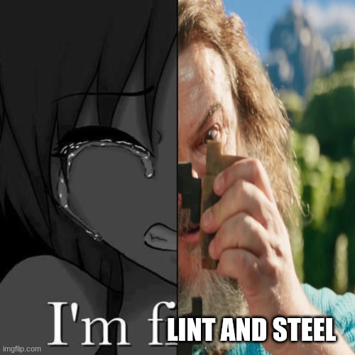 I'm FLINT AND STEEL | LINT AND STEEL | image tagged in im fi | made w/ Imgflip meme maker