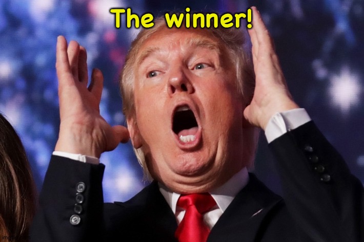 Trump crazy insane | The winner! | image tagged in trump crazy insane | made w/ Imgflip meme maker
