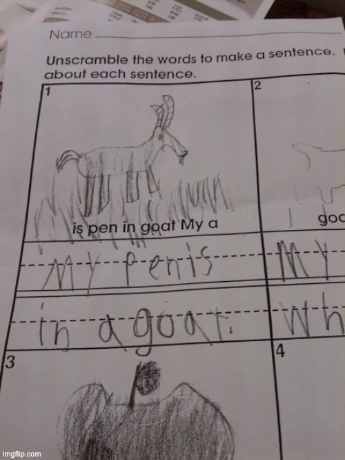 my pen is in a goat | image tagged in my pen is in a goat | made w/ Imgflip meme maker