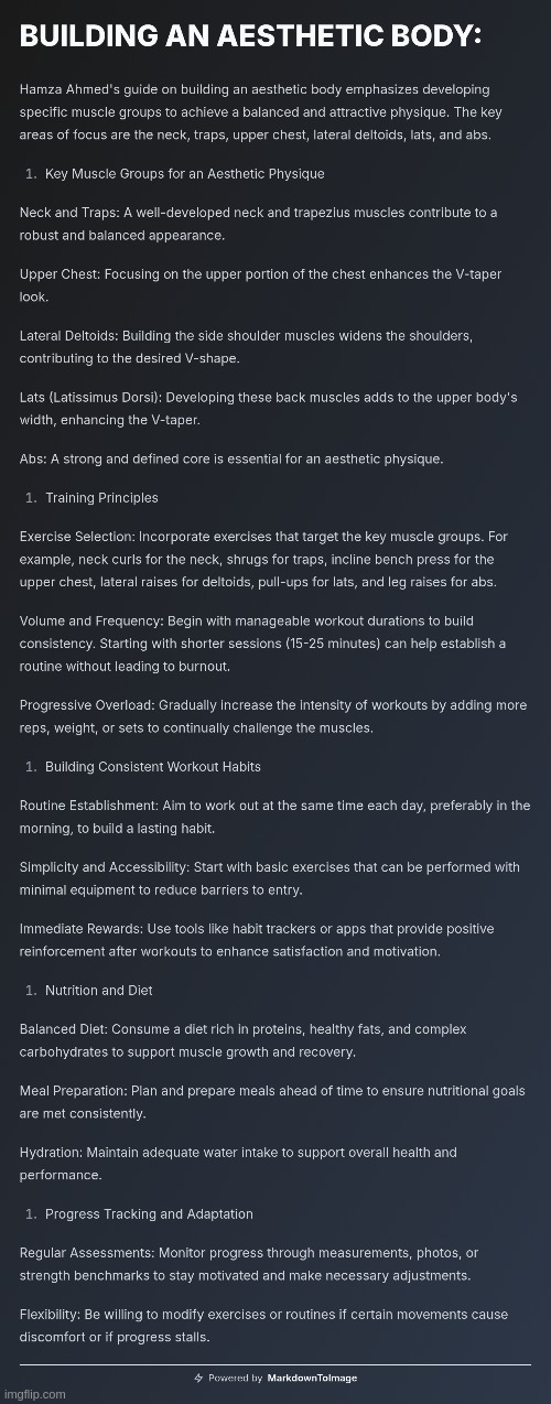HAMZA - Building An Aesthetic Body :> | image tagged in simothefinlandized,fitness,infographic,tutorial,hamza | made w/ Imgflip meme maker