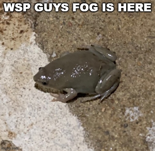fog | WSP GUYS FOG IS HERE | image tagged in fog | made w/ Imgflip meme maker