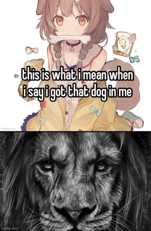 image tagged in the lion cares not for others only raping | made w/ Imgflip meme maker