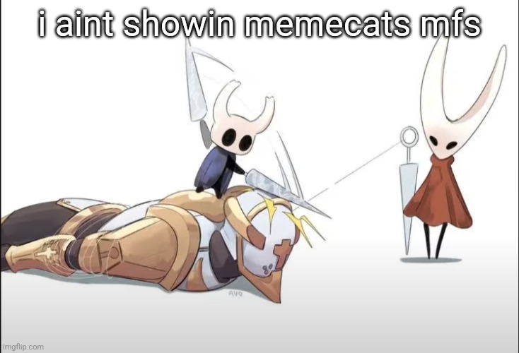 +HALLOWNESS | i aint showin memecats mfs | image tagged in hallowness | made w/ Imgflip meme maker