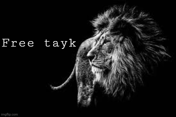 Blank lion template | Free tayk | image tagged in blank lion template | made w/ Imgflip meme maker