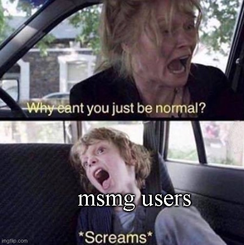 Why Can't You Just Be Normal | msmg users | image tagged in why can't you just be normal | made w/ Imgflip meme maker