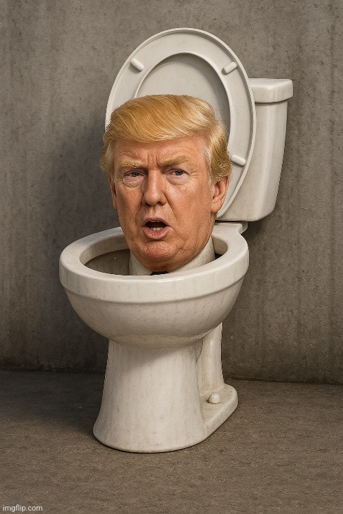 17.3 upvotes and this goes to politics | made w/ Imgflip meme maker