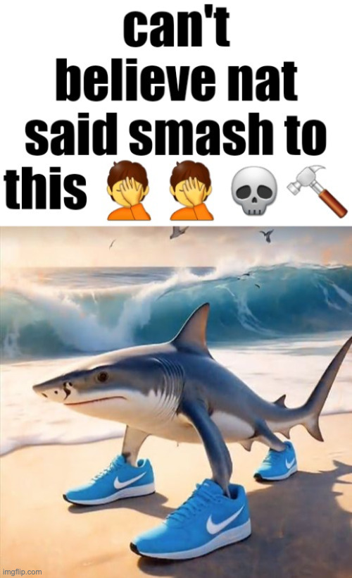 image tagged in cant believe nat said smash to this,tralalero tralala | made w/ Imgflip meme maker