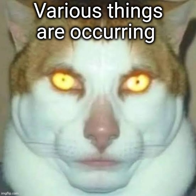 Various things are occurring | Various things
are occurring | image tagged in sigma cat,ive committed various war crimes | made w/ Imgflip meme maker