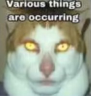 various things are occurring | image tagged in various things are occurring | made w/ Imgflip meme maker